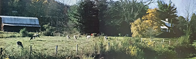 Trouble Ahead For Small Family Farms Image